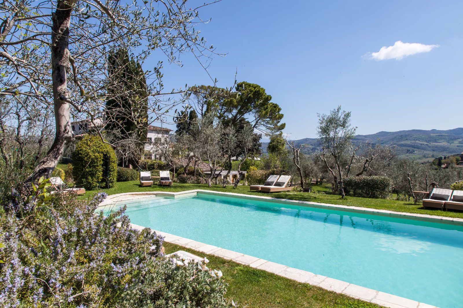 Villa Bordoni — Tuscan countryside villa with pool and olive grove